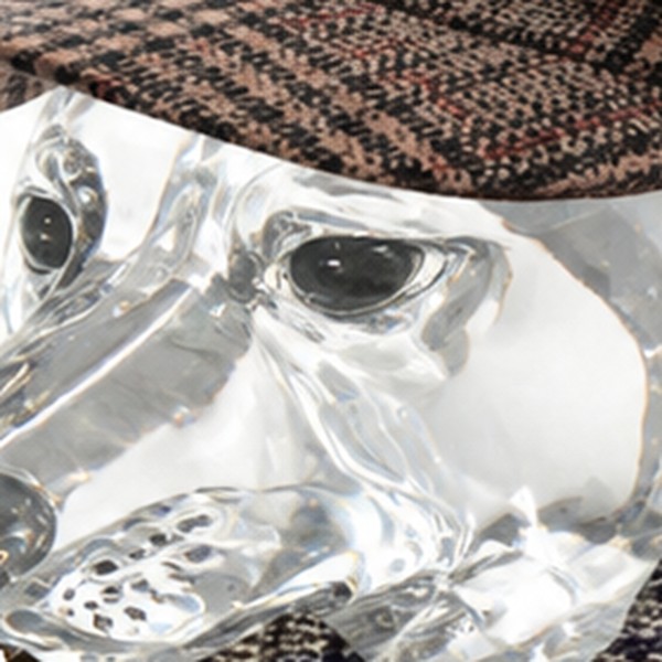 Close-up of PipePons' crystal eyes